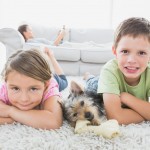 kids and dog dry residential carpet and rug cleaning service Sydney from Green Clean Carpet Cleaning