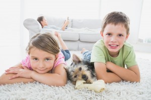 kids and dog dry residential carpet and rug cleaning service Sydney from Green Clean Carpet Cleaning