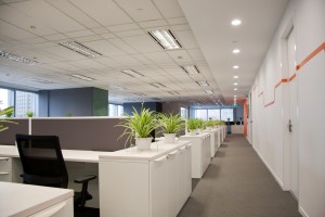 image of office for commercial carpet cleaning from Green Clean Carpet Cleaning